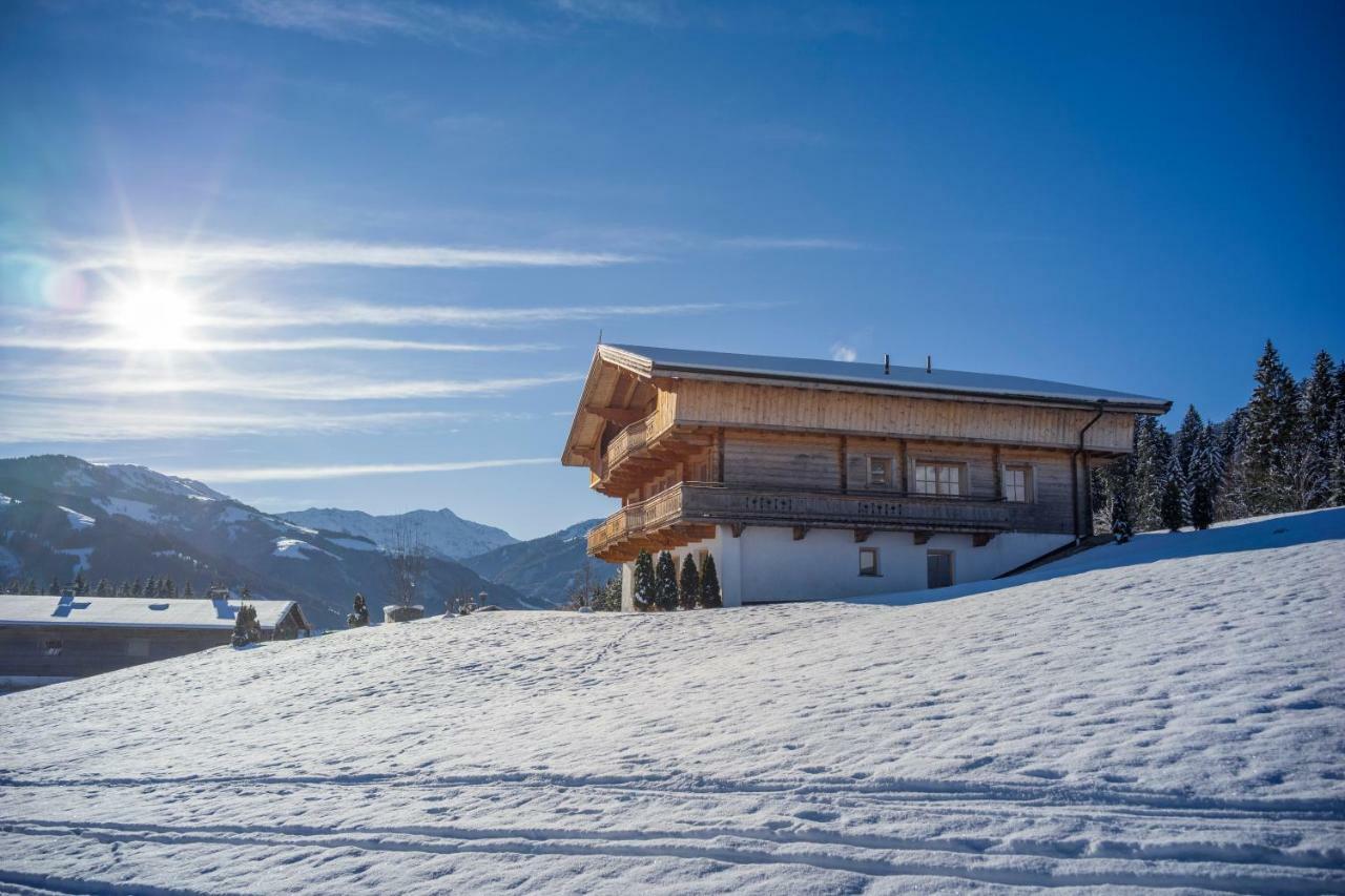 Chalet Apartment Obermanzl Hopfgarten im Brixental Dış mekan fotoğraf