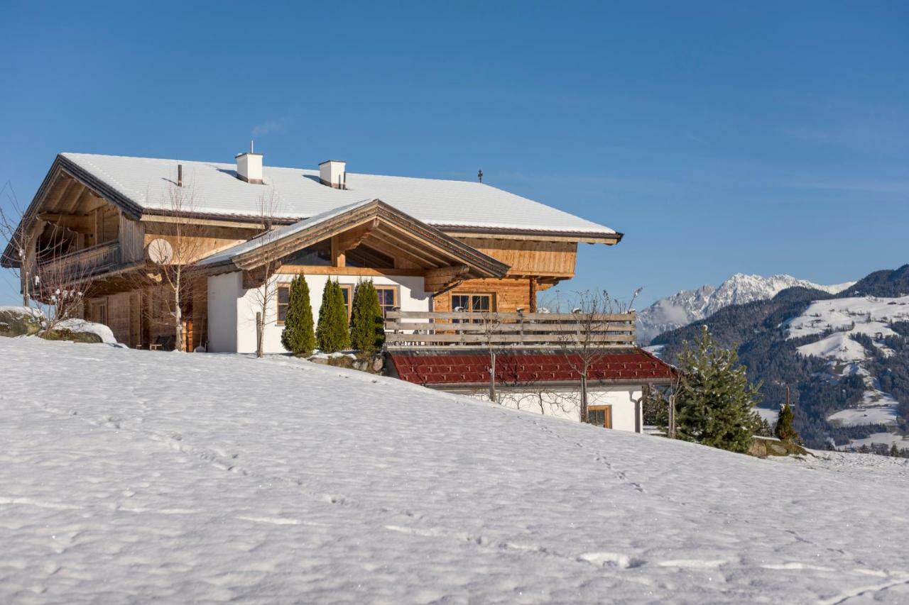 Chalet Apartment Obermanzl Hopfgarten im Brixental Dış mekan fotoğraf