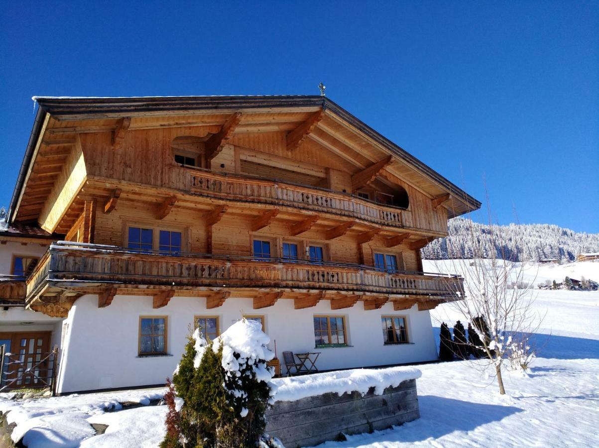 Chalet Apartment Obermanzl Hopfgarten im Brixental Dış mekan fotoğraf