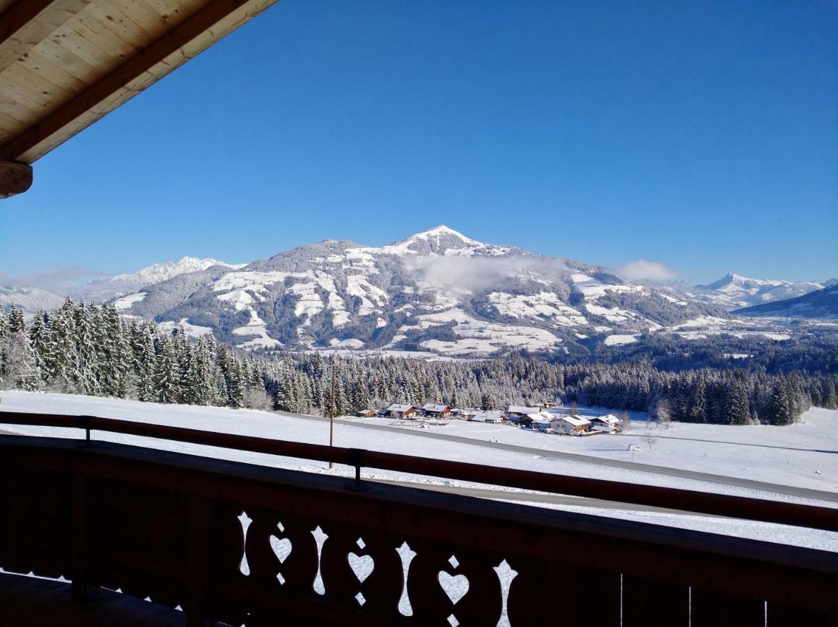 Chalet Apartment Obermanzl Hopfgarten im Brixental Dış mekan fotoğraf